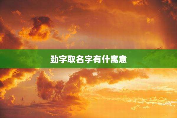 劲字取名字有什寓意