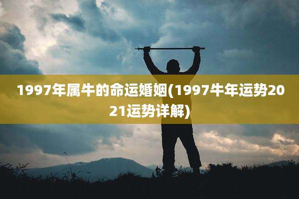 1997年属牛的命运婚姻(1997牛年运势2021运势详解)