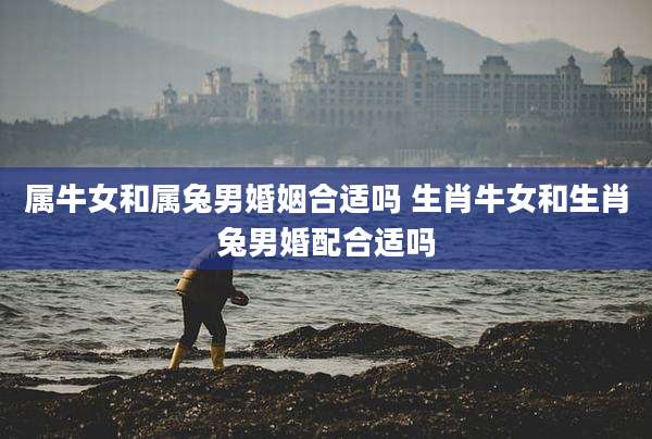 属牛女和属兔男婚姻合适吗 生肖牛女和生肖兔男婚配合适吗