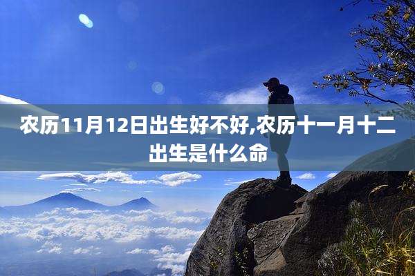 农历11月12日出生好不好,农历十一月十二出生是什么命