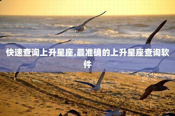 快速查询上升星座,最准确的上升星座查询软件