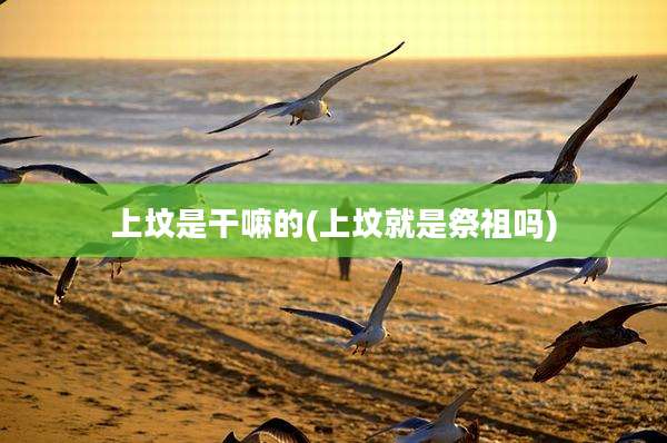 上坟是干嘛的(上坟就是祭祖吗)