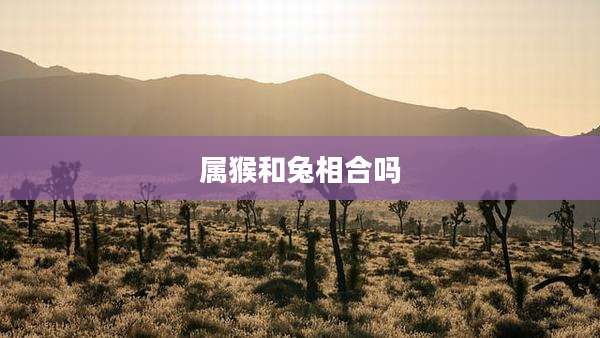 属猴和兔相合吗