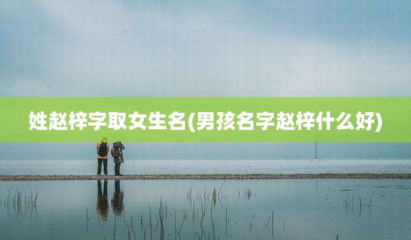 姓赵梓字取女生名(男孩名字赵梓什么好)