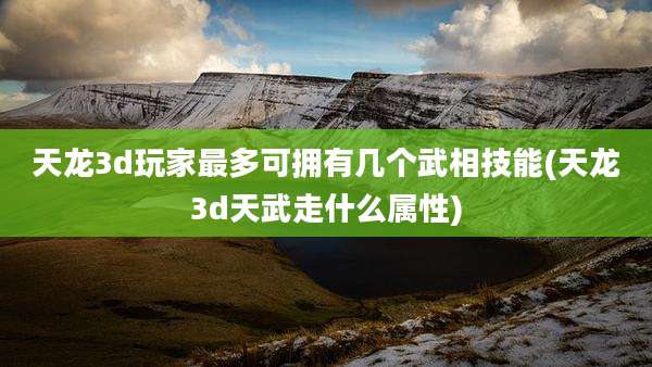 天龙3d玩家最多可拥有几个武相技能(天龙3d天武走什么属性)