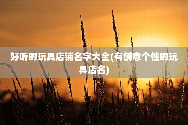 好听的玩具店铺名字大全(有创意个性的玩具店名)