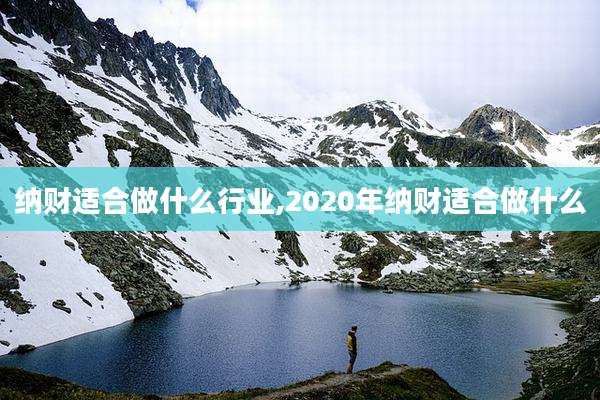 纳财适合做什么行业,2020年纳财适合做什么