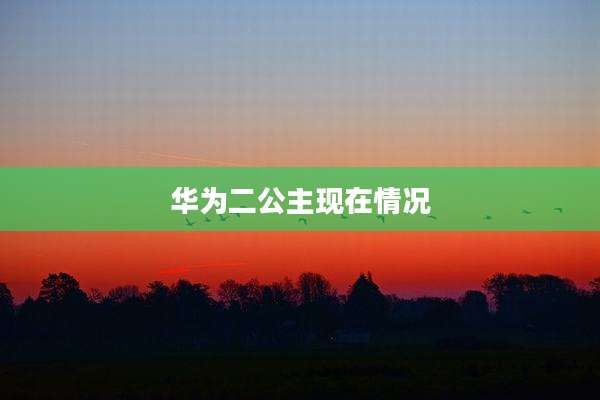 华为二公主现在情况