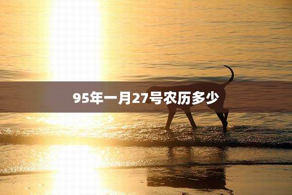95年一月27号农历多少