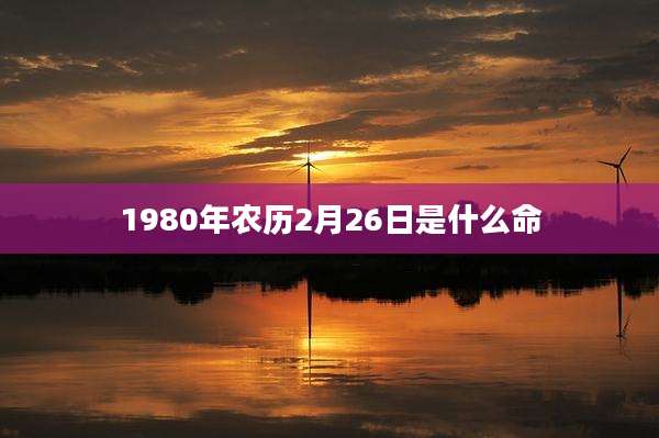 1980年农历2月26日是什么命
