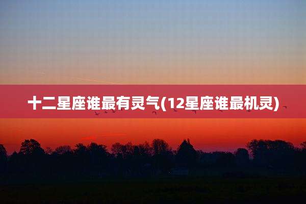 十二星座谁最有灵气(12星座谁最机灵)