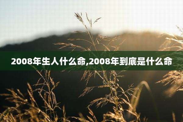 2008年生人什么命,2008年到底是什么命