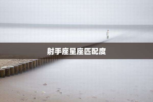 射手座星座匹配度