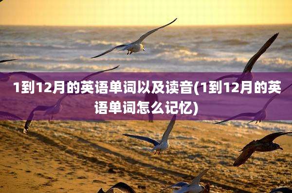 1到12月的英语单词以及读音(1到12月的英语单词怎么记忆)