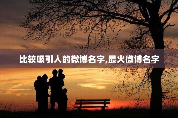 比较吸引人的微博名字,最火微博名字