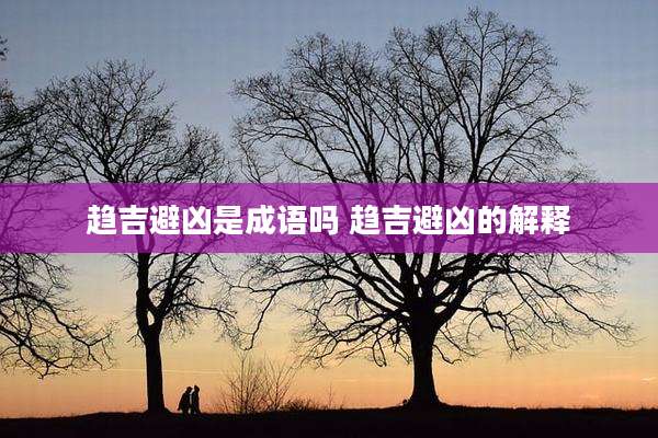 趋吉避凶是成语吗 趋吉避凶的解释