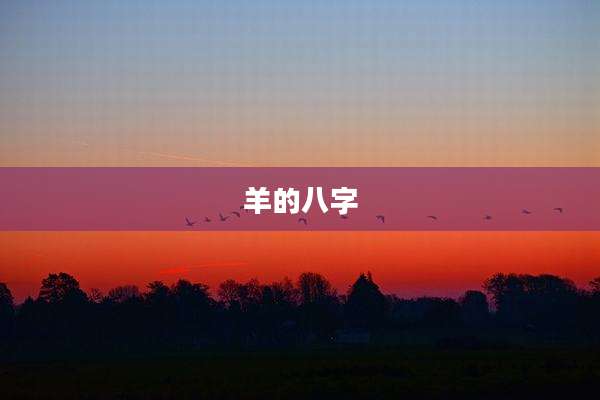 羊的八字