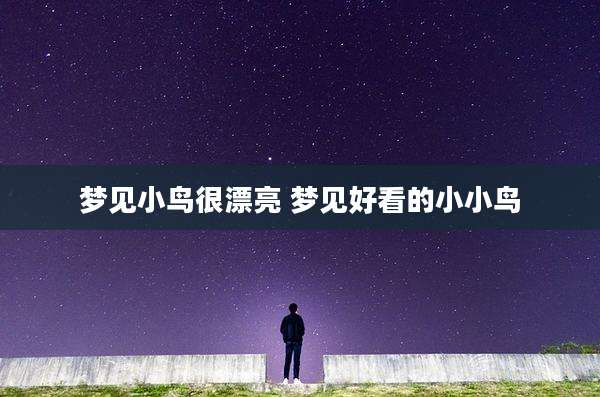 梦见小鸟很漂亮 梦见好看的小小鸟