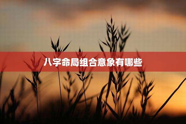 八字命局组合意象有哪些