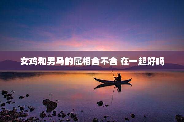 女鸡和男马的属相合不合 在一起好吗
