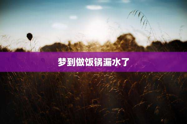梦到做饭锅漏水了