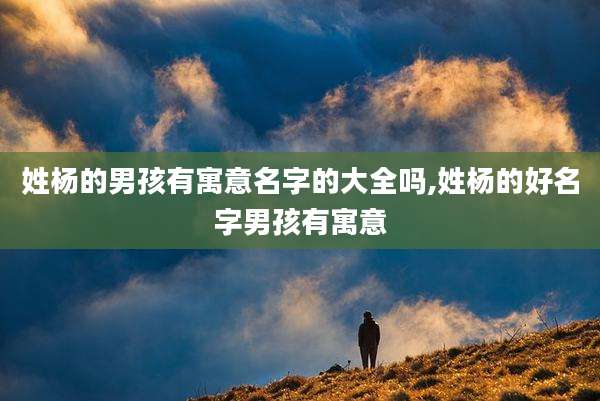 姓杨的男孩有寓意名字的大全吗,姓杨的好名字男孩有寓意