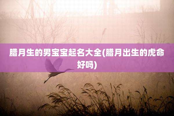 腊月生的男宝宝起名大全(腊月出生的虎命好吗)
