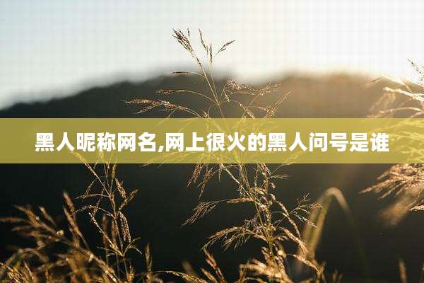 黑人昵称网名,网上很火的黑人问号是谁