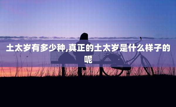 土太岁有多少种,真正的土太岁是什么样子的呢