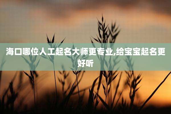 海口哪位人工起名大师更专业,给宝宝起名更好听