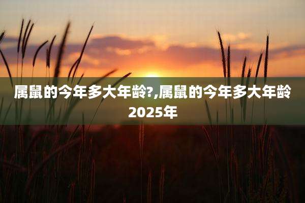 属鼠的今年多大年龄?,属鼠的今年多大年龄2025年