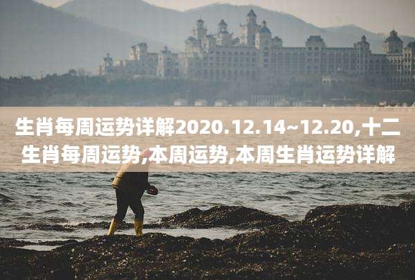 生肖每周运势详解2020.12.14~12.20,十二生肖每周运势,本周运势,本周生肖运势详解