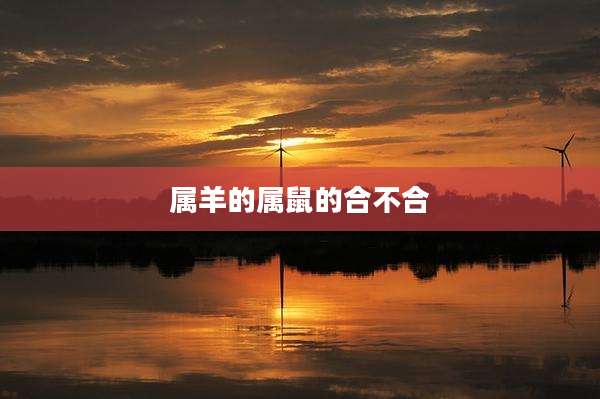 属羊的属鼠的合不合