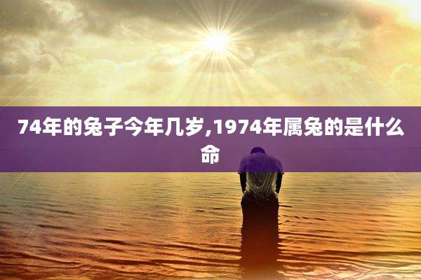 74年的兔子今年几岁,1974年属兔的是什么命