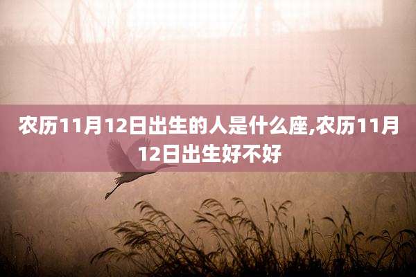 农历11月12日出生的人是什么座,农历11月12日出生好不好