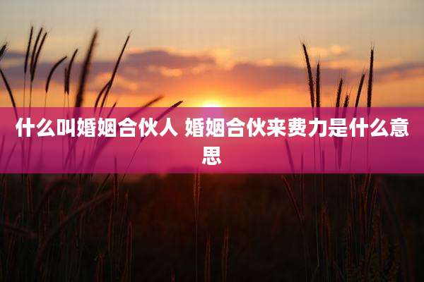 什么叫婚姻合伙人 婚姻合伙来费力是什么意思