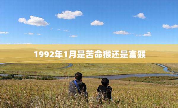 1992年1月是苦命猴还是富猴