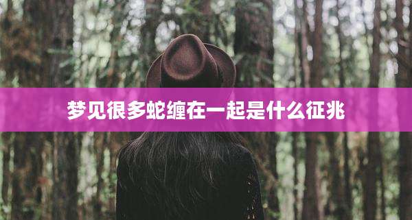 梦见很多蛇缠在一起是什么征兆