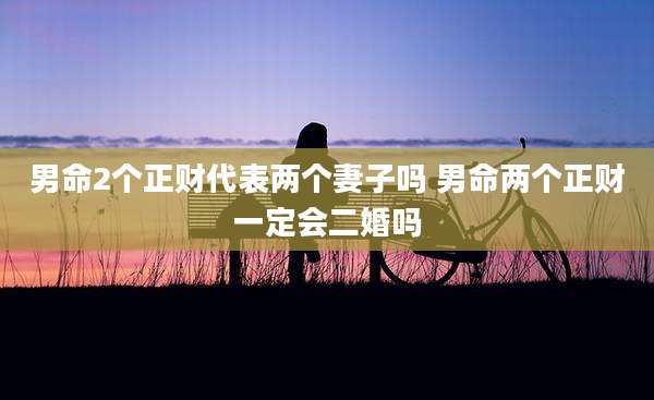 男命2个正财代表两个妻子吗 男命两个正财一定会二婚吗