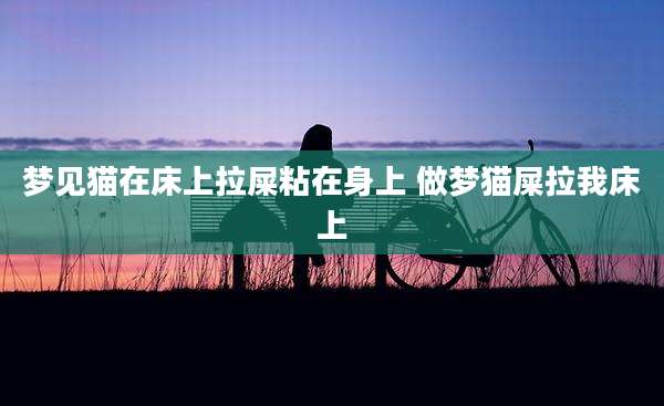梦见猫在床上拉屎粘在身上 做梦猫屎拉我床上