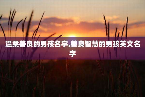 温柔善良的男孩名字,善良智慧的男孩英文名字