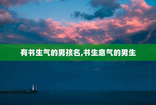 有书生气的男孩名,书生意气的男生