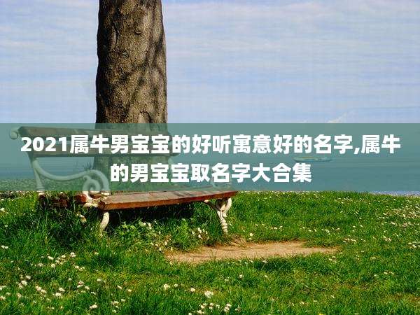 2021属牛男宝宝的好听寓意好的名字,属牛的男宝宝取名字大合集