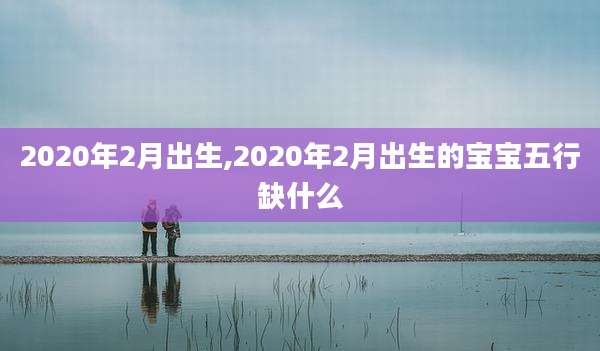 2020年2月出生,2020年2月出生的宝宝五行缺什么