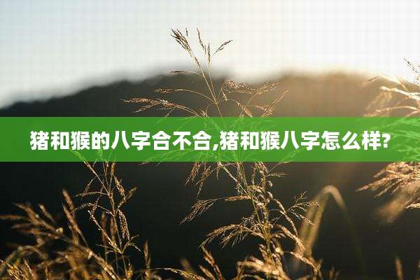 猪和猴的八字合不合,猪和猴八字怎么样?
