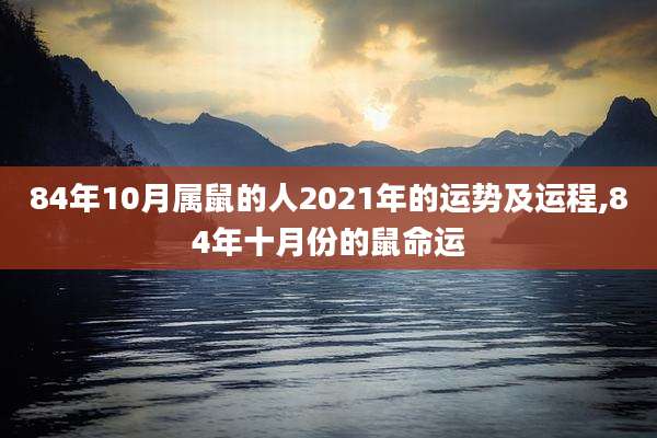 84年10月属鼠的人2021年的运势及运程,84年十月份的鼠命运