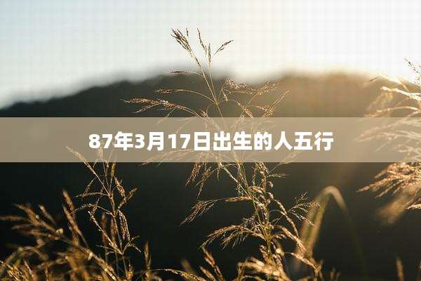 87年3月17日出生的人五行