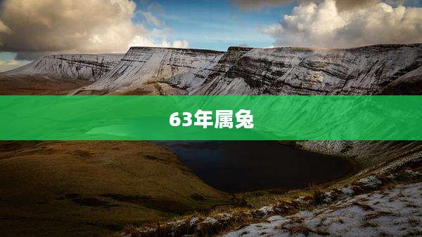 63年属兔