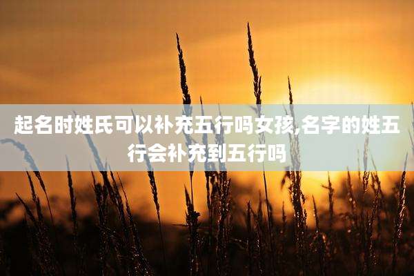 起名时姓氏可以补充五行吗女孩,名字的姓五行会补充到五行吗