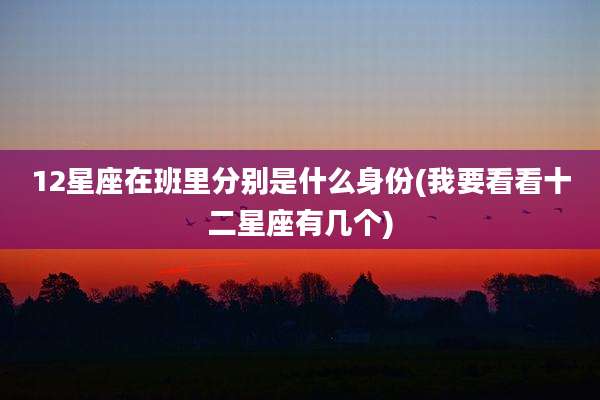 12星座在班里分别是什么身份(我要看看十二星座有几个)